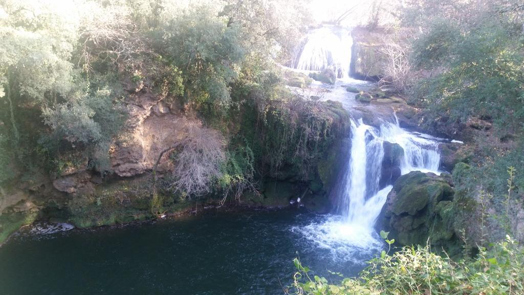 Un Petit Coin De Paradis Taradeau Bilik gambar