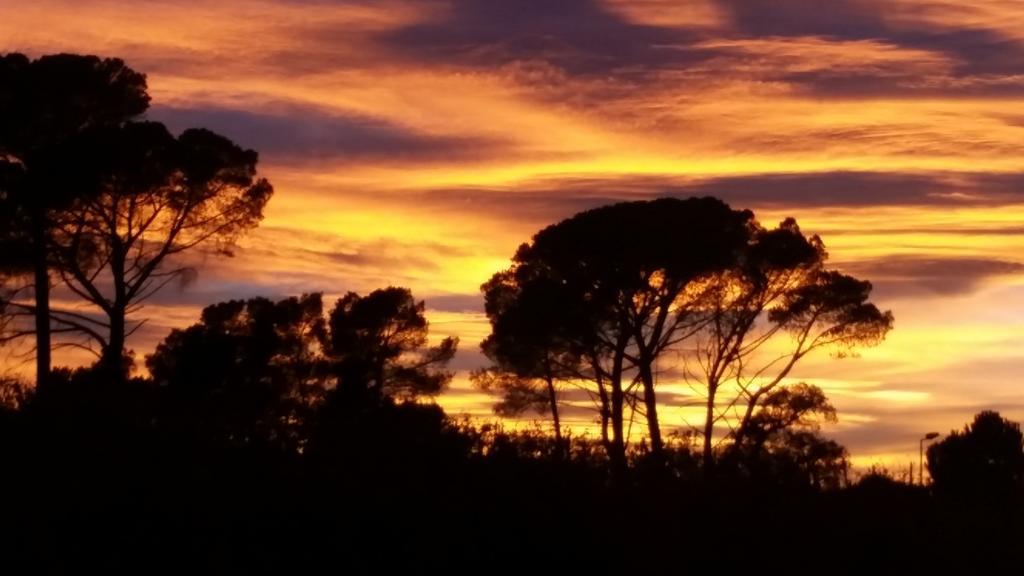 Un Petit Coin De Paradis Taradeau Luaran gambar